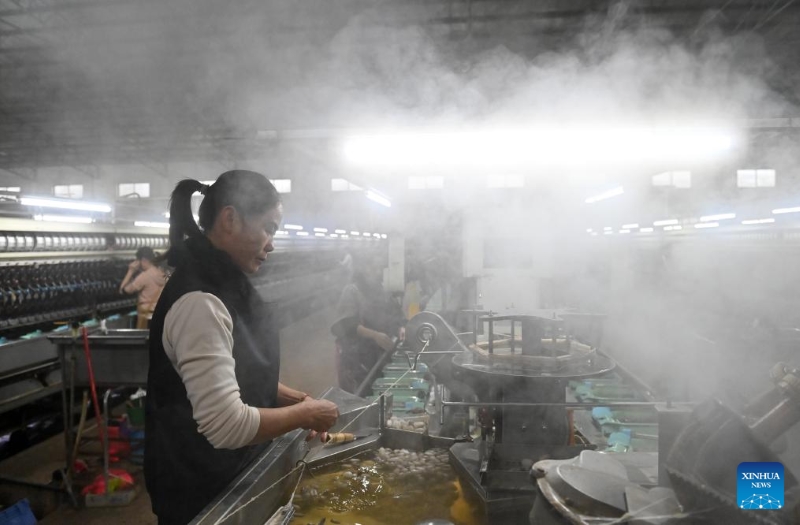 Guangxi :  l'industrie de la sériciculture stimule la croissance des revenus et améliore les conditions de vie des agriculteurs de Xincheng
