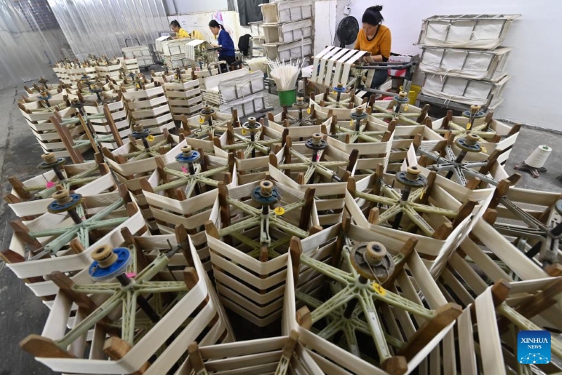 Guangxi :  l'industrie de la sériciculture stimule la croissance des revenus et améliore les conditions de vie des agriculteurs de Xincheng