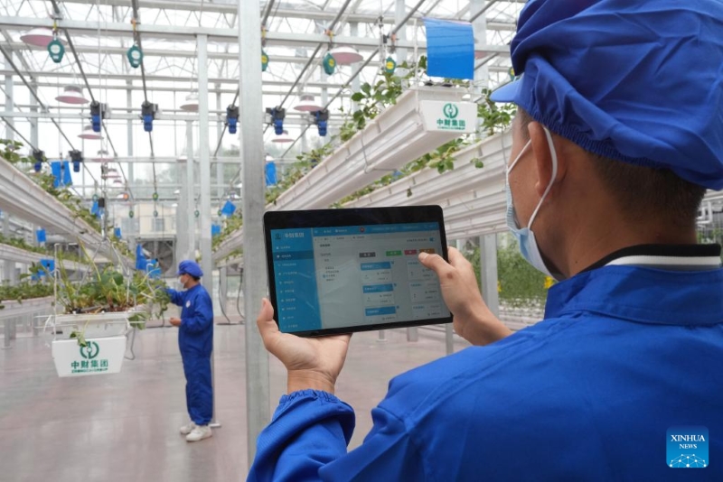 Zhejiang : un parc agricole intelligent alimenté par les sciences et technologies inauguré à Zhuji
