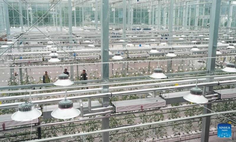 Zhejiang : un parc agricole intelligent alimenté par les sciences et technologies inauguré à Zhuji
