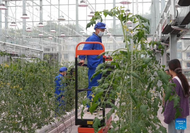 Zhejiang : un parc agricole intelligent alimenté par les sciences et technologies inauguré à Zhuji