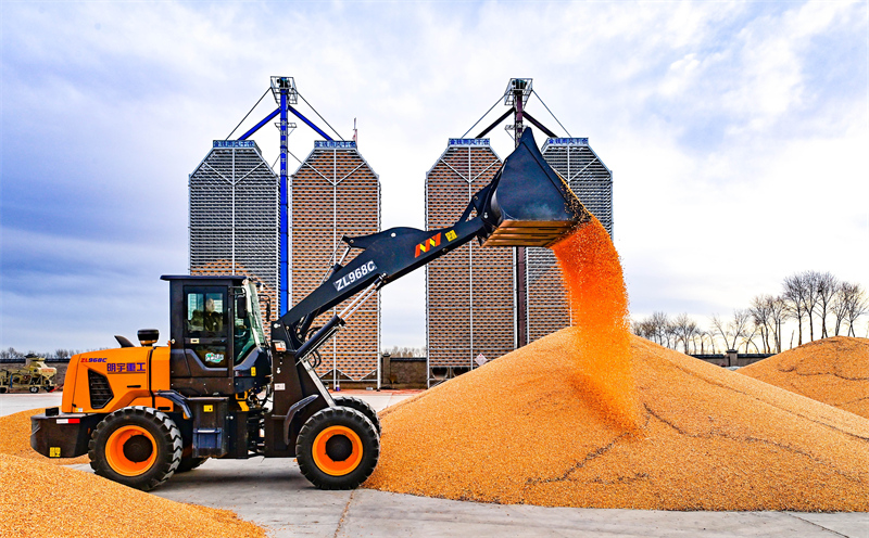 Mongolie intérieure : stockage scientifique des céréales, rendement élevé et revenus accrus dans la Ligue de Xing'an