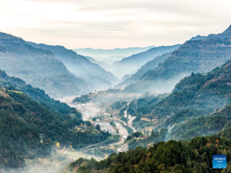Chongqing : le canton de Zhongyi développe des industries caractéristiques pour stimuler le développement rural