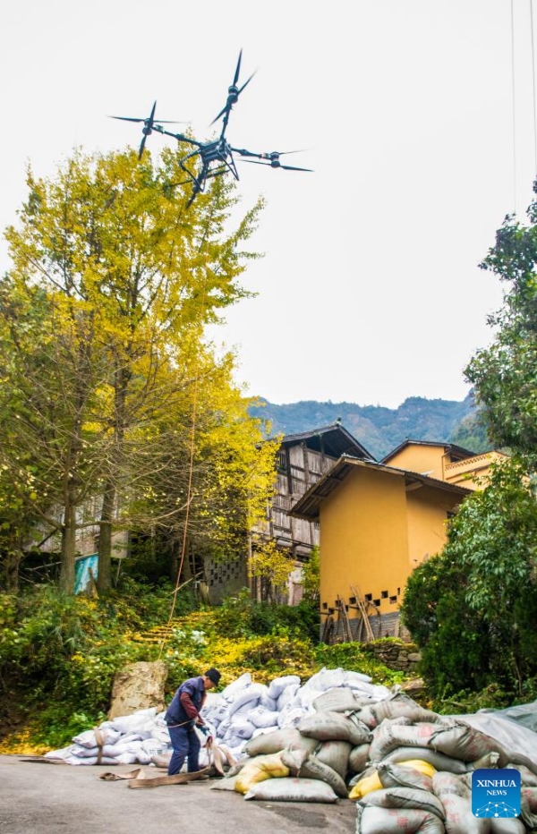 Chongqing : le canton de Zhongyi développe des industries caractéristiques pour stimuler le développement rural