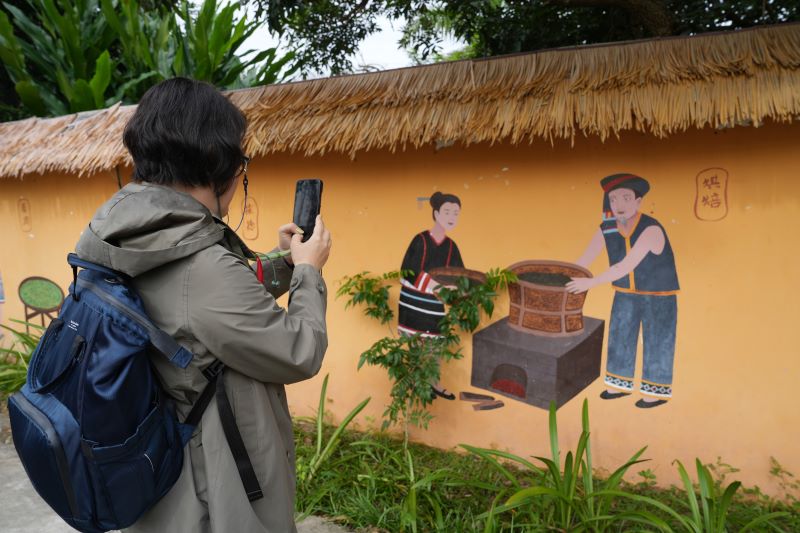 Hainan : les experts étrangers découvrent la culture du thé biologique à Baisha