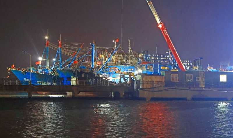 Zhejiang : une abondante récolte de pêche hivernale à Yuhuan