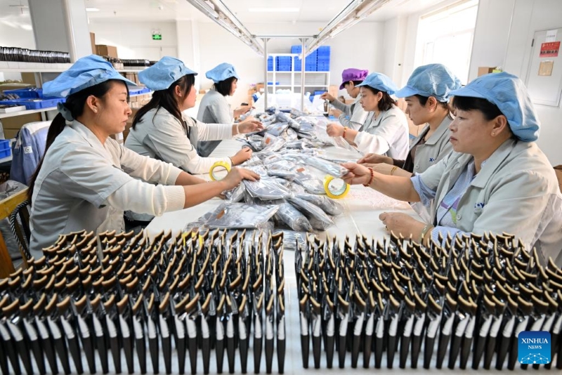 Des membres du personnel travaillent dans un atelier d'une entreprise de fabrication de pinceaux de maquillage dans le comté de Qingxian, à Cangzhou, dans la province du Hebei (nord de la Chine), le 4 décembre 2025. L'industrie des pinceaux de maquillage du comté de Qingxian, qui a prospéré dans les années 1990 avec un groupe de fabricants sous contrat, est devenue un groupe de marques indépendantes. (Xinhua/Mu Yu)