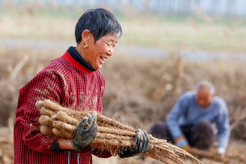 (Photo/Pic.people.com.cn)