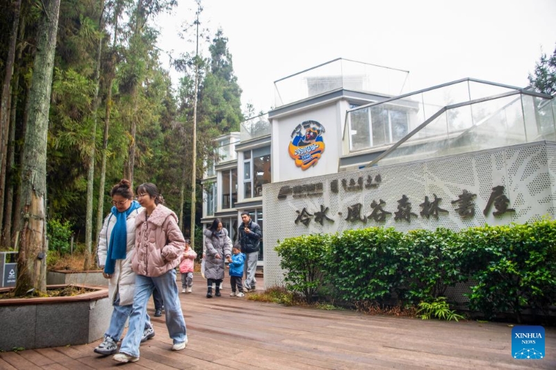 Chongqing : le canton de Lengshui développe les visites de loisirs pour stimuler le tourisme