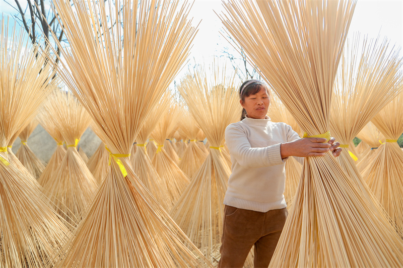 Zhejiang : à Changxing, la transformation du bambou stimule la revitalisation rurale