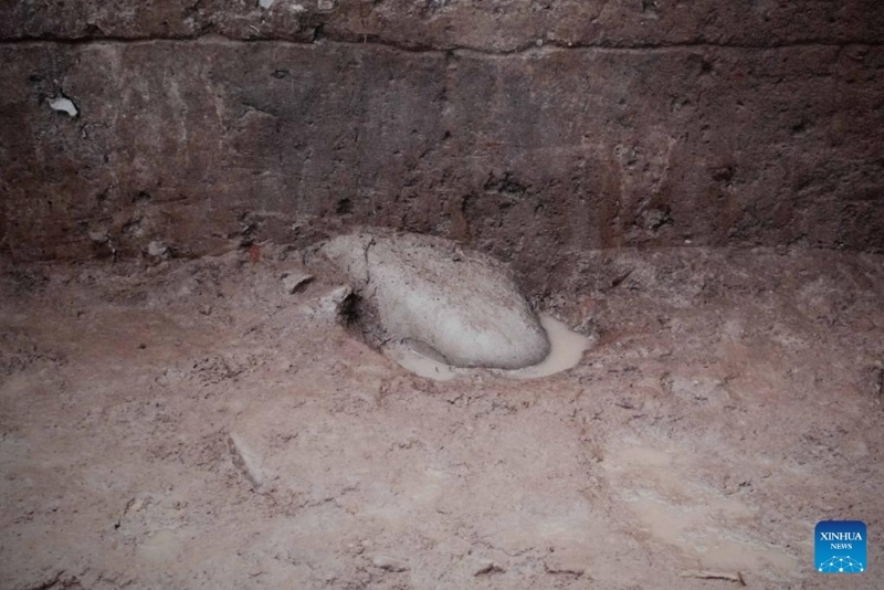 Anhui : des décennies de fouilles révèlent un riche héritage sur le site des vestiges de Lingjiatan