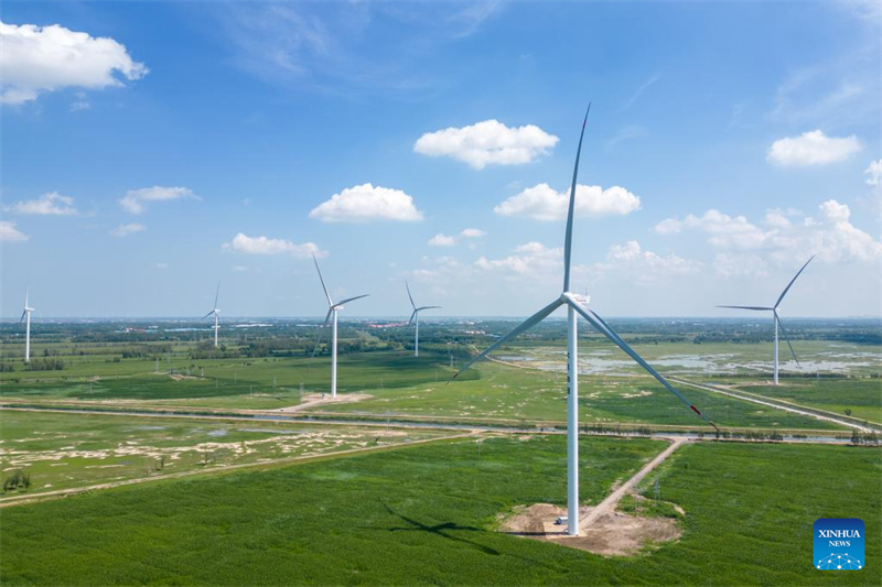 La Chine devient une puissance mondiale dans le domaine de l'énergie éolienne, défendant la transition verte et la coopération internationale