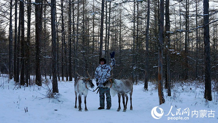 Mongolie intérieure : un éleveur de rennes préserve les traditions Ewenki à Genhe