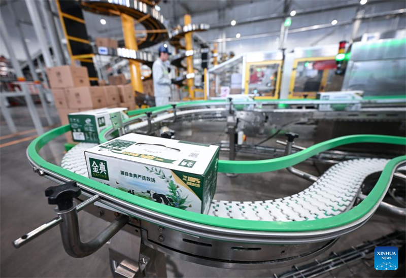 Ningxia : l'industrie laitière se développe à Wuzhong