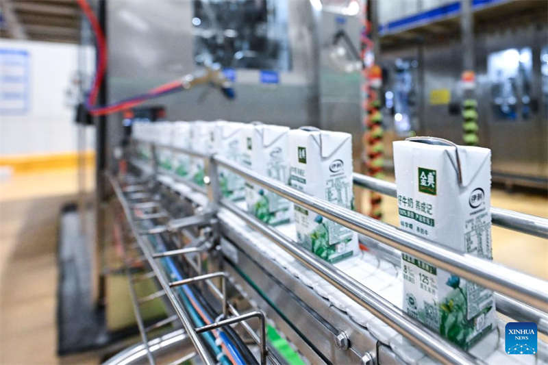 Ningxia : l'industrie laitière se développe à Wuzhong