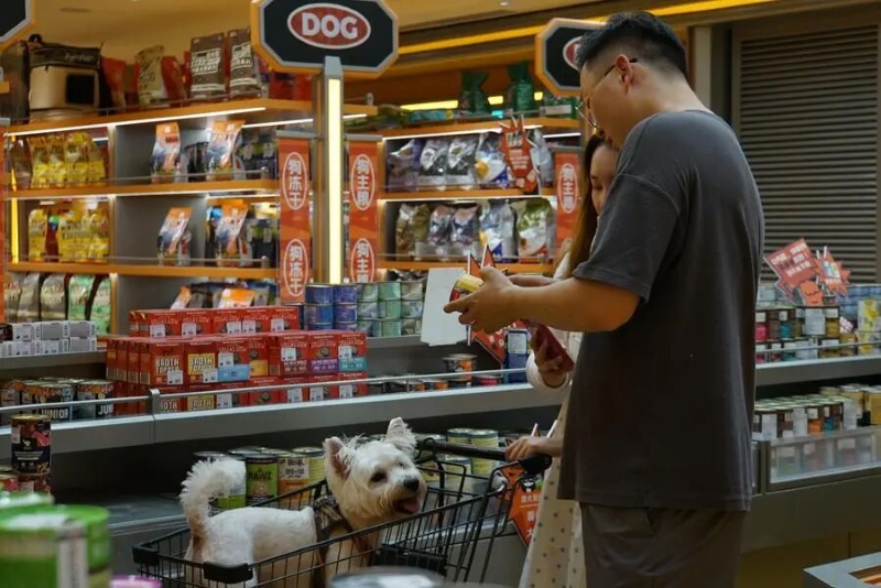 À l'approche de la Fête du Printemps, les services de gardiennage pour animaux de compagnie sont très demandés