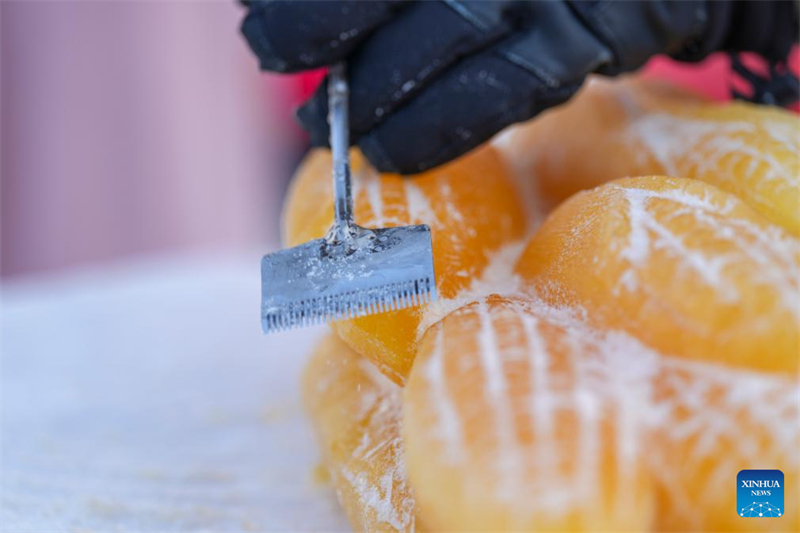 Un sculpteur confectionne une sculpture de glace teinte par des plantes au Monde de Glace et de Neige, à Harbin, capitale de la province du Heilongjiang (nord-est de la Chine), le 28 janvier 2026. (Wang Song/Xinhua)