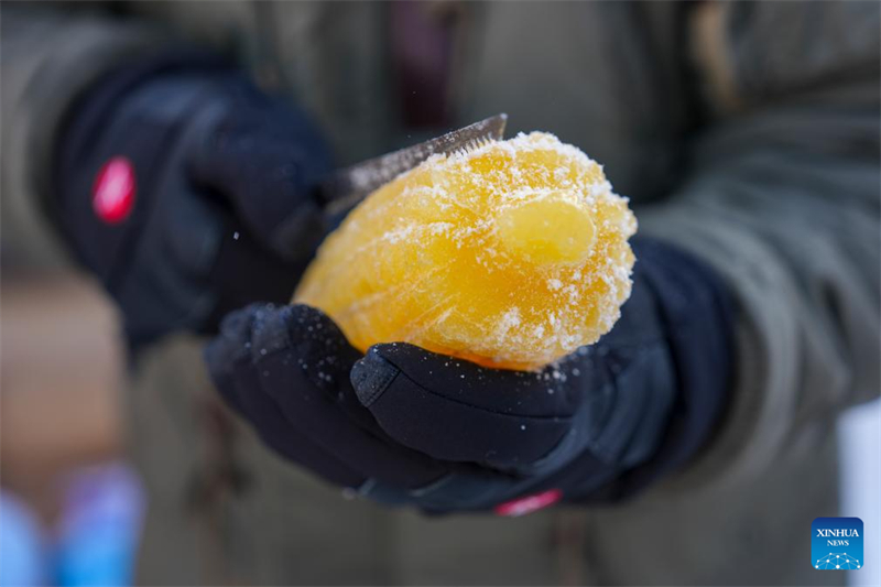 Heilongjiang : des sculptures de glace teintes par des plantes apportent de la couleur au Monde de Glace et de Neige de Harbin
