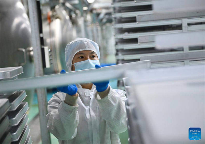 Henan : le comté de Puyang développe un système de production de café à chaîne industrielle complète