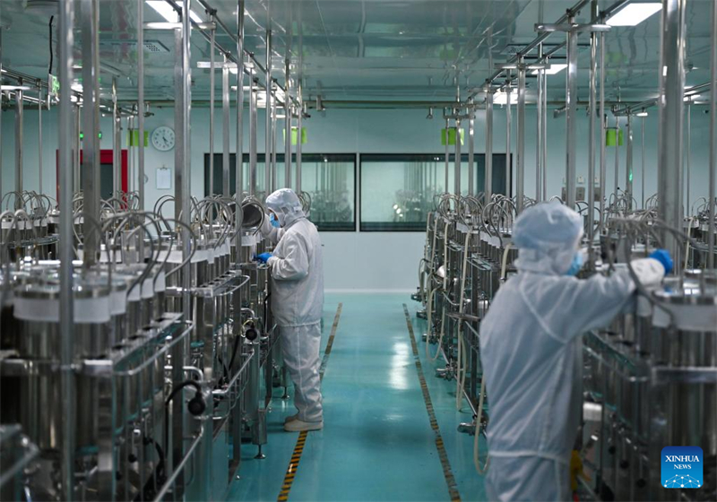 Henan : le comté de Puyang développe un système de production de café à chaîne industrielle complète