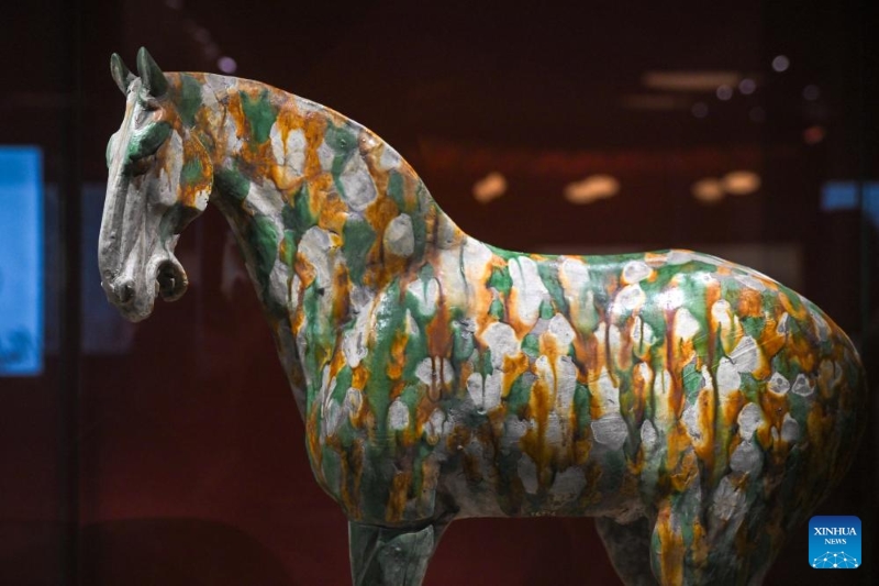 Ouverture d'une exposition sur le thème de l'Année du Cheval du zodiaque chinois à Beijing