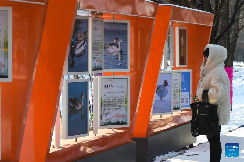 Jilin : histoire en photos de deux générations de gardiens d'oiseaux sur l'île de Changbai