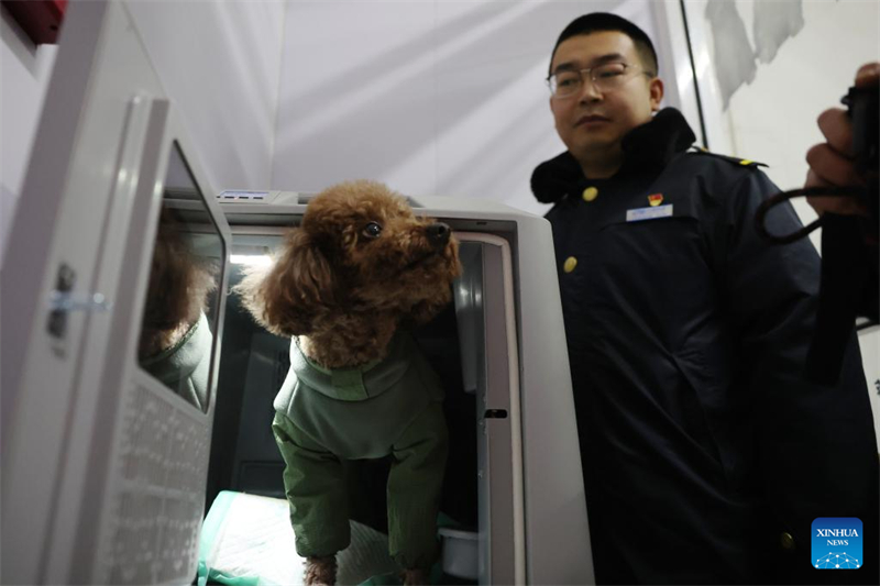 La Chine étend ses services de transport ferroviaire à grande vitesse d'animaux de compagnie pour les voyages de la Fête du Printemps