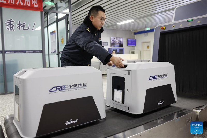 La Chine étend ses services de transport ferroviaire à grande vitesse d'animaux de compagnie pour les voyages de la Fête du Printemps