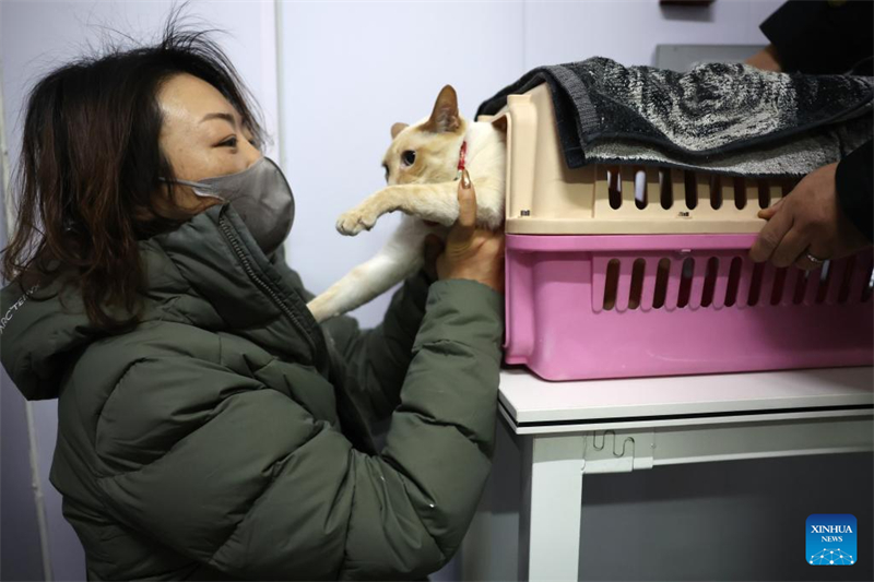 La Chine étend ses services de transport ferroviaire à grande vitesse d'animaux de compagnie pour les voyages de la Fête du Printemps