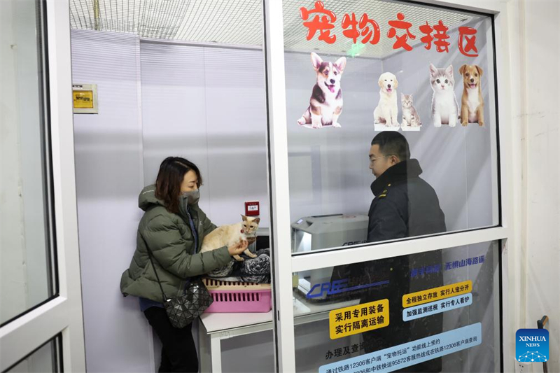 La Chine étend ses services de transport ferroviaire à grande vitesse d'animaux de compagnie pour les voyages de la Fête du Printemps