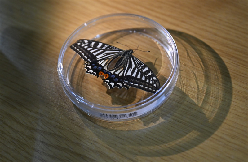 L'Université de Chongqing réalise de nouveaux progrès dans les expériences sur la vie spatiale