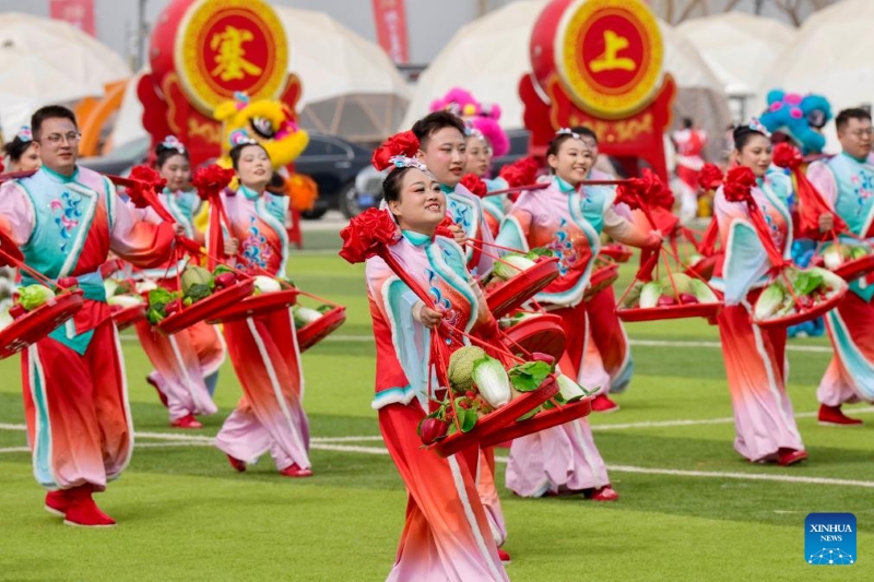 Ningxia : le gala Shehuo à Yinchuan en photos