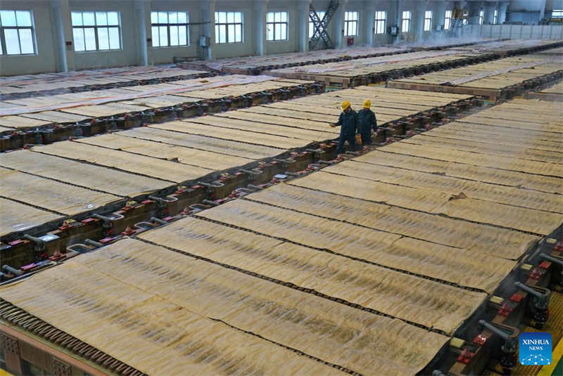 Des ouvriers contrôlent l'état des plaques de cuivre dans un atelier d'électrolyse intelligente de la fonderie Guixi, à Yingtan, dans la province du Jiangxi (est de la Chine), le 21 janvier 2026. (Xinhua/Wan Xiang)