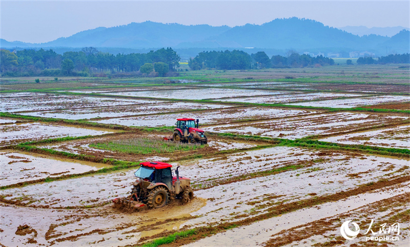Jiangxi : les labours de printemps et les préparatifs agricoles battent leur plein à Jishui