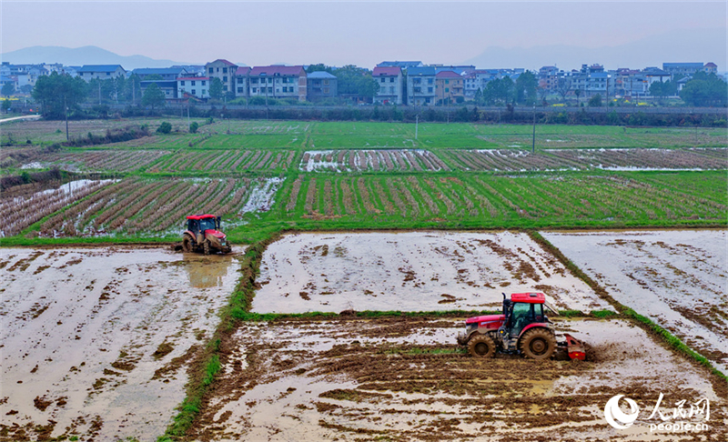 Jiangxi : les labours de printemps et les préparatifs agricoles battent leur plein à Jishui