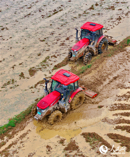 Jiangxi : les labours de printemps et les préparatifs agricoles battent leur plein à Jishui