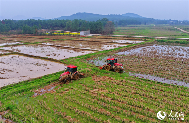 Jiangxi : les labours de printemps et les préparatifs agricoles battent leur plein à Jishui