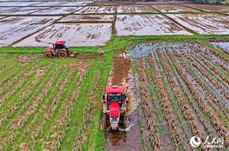 Jiangxi : les labours de printemps et les préparatifs agricoles battent leur plein à Jishui