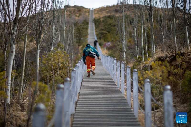 Xizang : un garde forestier veille depuis 14 ans sur une montagne verdoyante sur le « toit du monde »