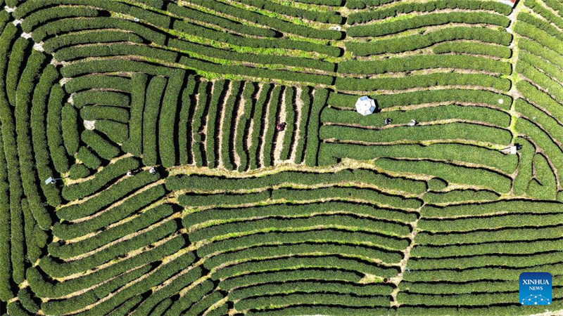 (Zhang Ailin/Xinhua)