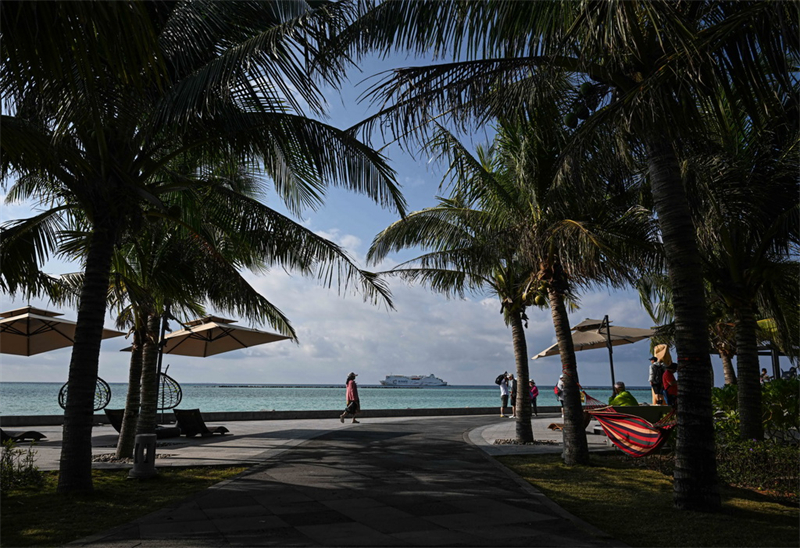 Hainan : une île stérile transformée en trésor vert après des années d'efforts de conservation