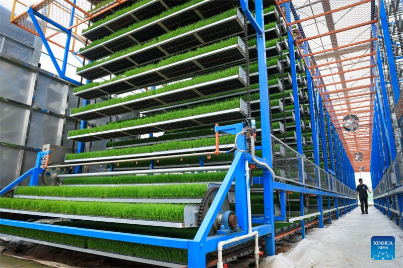 Guangdong : à Taishan, la technologie renforce la mécanisation du repiquage du riz