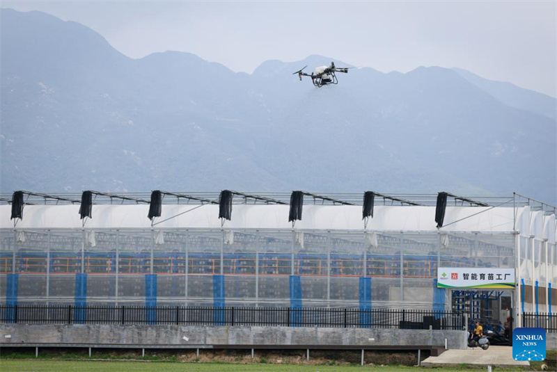 Guangdong : à Taishan, la technologie renforce la mécanisation du repiquage du riz