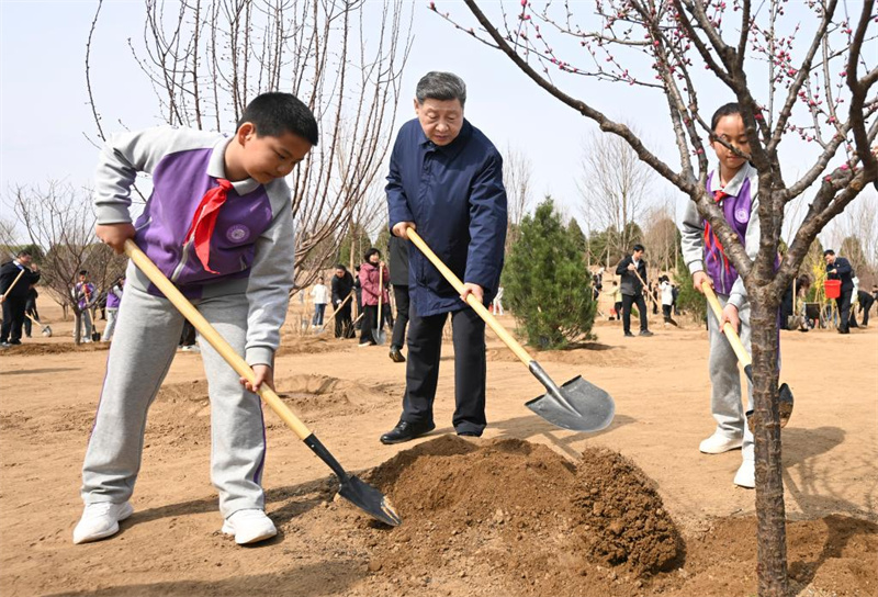 Xi Jinping appelle à mobiliser l'ensemble de la société autour des initiatives de reboisement