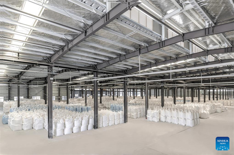 Transformer les déchets en richesse : la voie populaire de la Chine vers un avenir « zéro déchet »