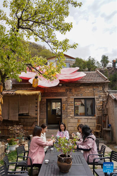 Shandong : le tourisme autour des fleurs renforce les revenus des habitants
