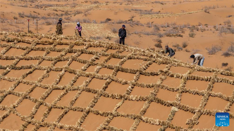 Photo prise par un drone le 10 avril 2026 montrant des ouvriers pavant des barrières en damier de paille sur du sable dans le désert de Tengger, dans la région autonome Hui du Ningxia (nord-ouest de la Chine). (Yang Zhisen/Xinhua)