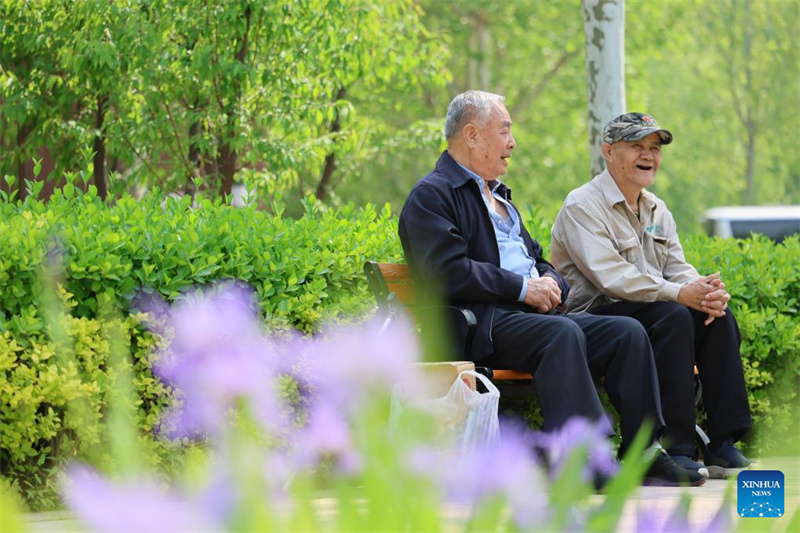 Des personnes âgées se promènent au centre de soins pour personnes âgées n° 1 de la nouvelle zone de Binhai à Tianjin (nord de la Chine), le 23 avril 2026. (Li Ran/Xinhua)