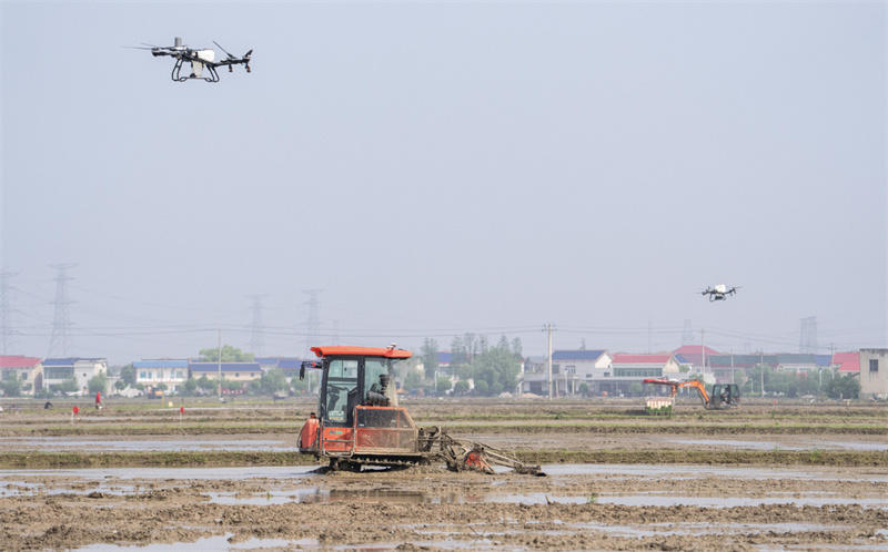 Des motoculteurs autonomes travaillent avec des drones agricoles pour le travail du sol et la fertilisation dans une ferme intelligente à Changsha, capitale de la province du Hunan (centre de la Chine), en avril 2026. (Photo/Xinhua)