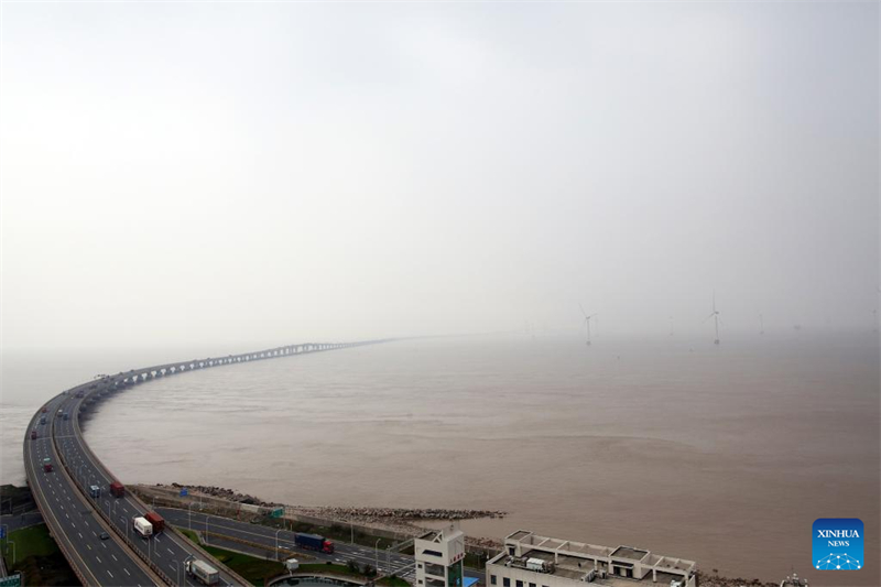 Shanghai : le port en eau profonde de Yangshan enregistre une hausse de 9,1 % du trafic de conteneurs d'une année sur l'autre